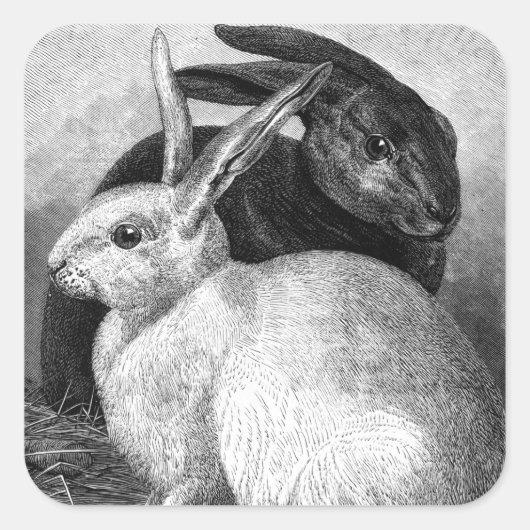 ウサギのシール スクエアシール (正面)