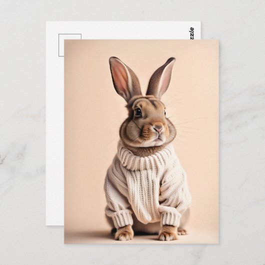 ウサギのセーター入りポストクロッシングポストカード ポストカード (正面/裏面)