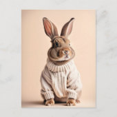 ウサギのセーター入りポストクロッシングポストカード ポストカード (正面)