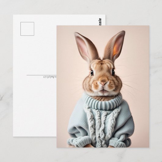 ウサギのセーター入りポストクロッシングポストカード ポストカード (正面/裏面)