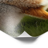 ウサギのデジタル写真拡大 フォトプリント            (角)