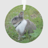 ウサギのバニー オーナメント (裏面)
