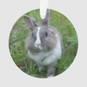 ウサギのバニー オーナメント (正面)