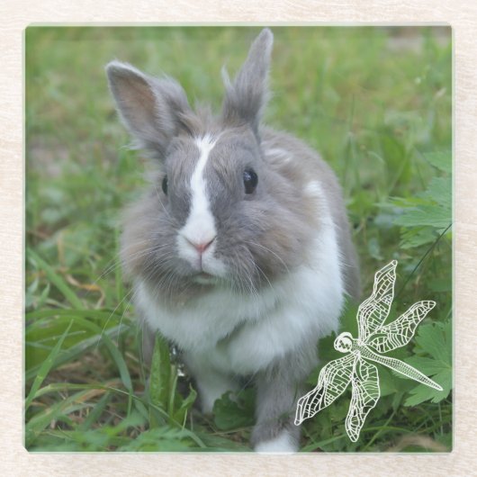 ウサギのバニー ガラスコースター (正面)