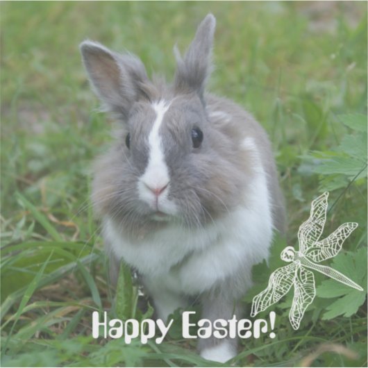 ウサギのバニー シール (正面)