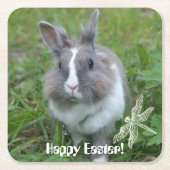 ウサギのバニー スクエアペーパーコースター (正面)