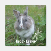 ウサギのバニー マグネット (正面)