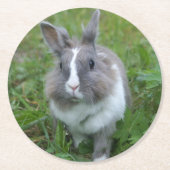 ウサギのバニー ラウンドペーパーコースター (正面)