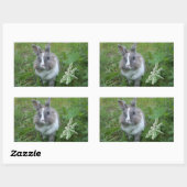 ウサギのバニー 長方形シール (シート)