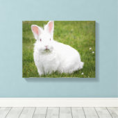 ウサギのバンニ写真 キャンバスプリント (インサイチュ (ウッドフロア))