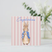 ウサギのピンクの背ストライプの景 (スタンド正面)