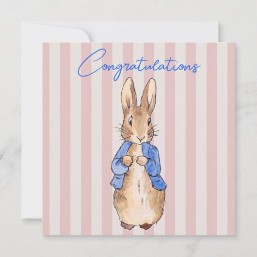 ウサギのピンクの背ストライプの景 (正面)