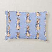 ウサギのピーター アクセントクッション (裏面)