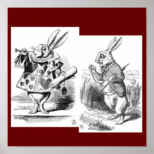 ウサギのポスター ポスター (正面)