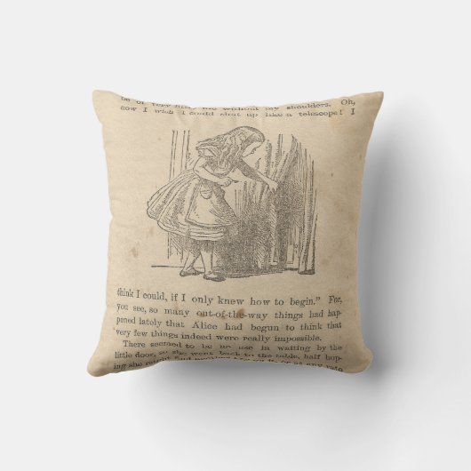 ウサギの下の不思議の国の章の第1アリス、 クッション (裏面)