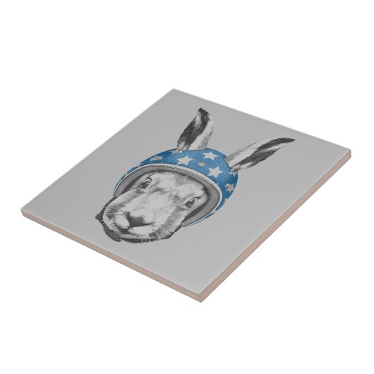 ウサギの向こう見ず タイル (側面)