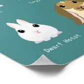 ウサギの品種 ポスター (角)