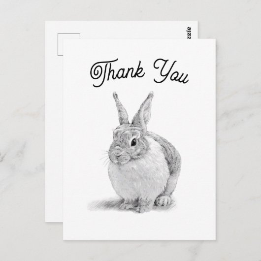 ウサギの感謝 ポストカード (正面/裏面)