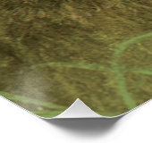 ウサギの素晴らし野生動物絵画アートのポスター ポスター (コーナー)