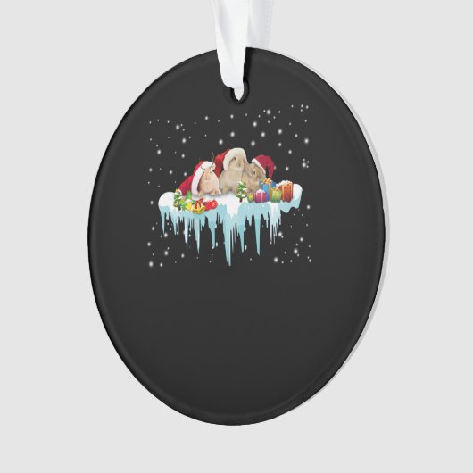 ウサギの贈り物 |うさぎ3匹の本当に素敵なクリスマス オーナメント (正面)