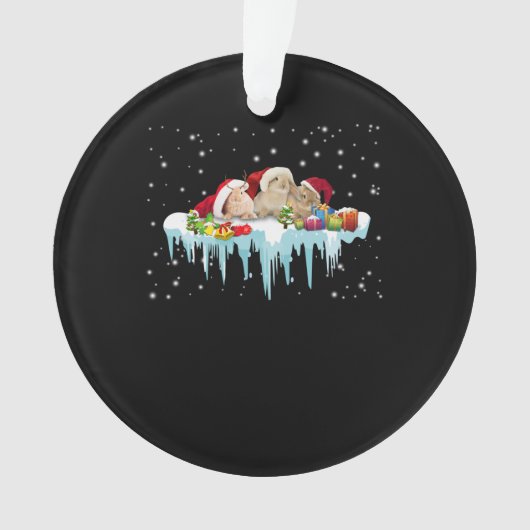 ウサギの贈り物 |うさぎ3匹の本当に素敵なクリスマス オーナメント (正面)