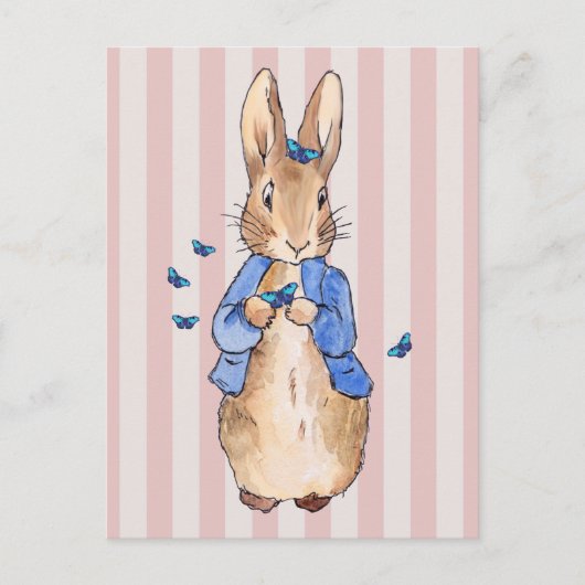 ウサギの赤ちゃん ポストカード (正面)