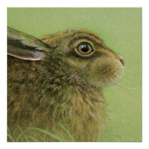ウサギの野性生物の芸術の絵画ポスター ポスター