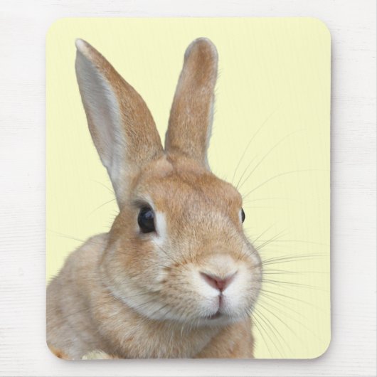 ウサギの顔 マウスパッド (正面)