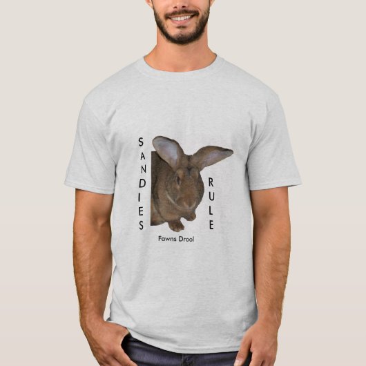 ウサギのTシャツSANDIESの規則の子鹿のよだれメンズ Tシャツ (正面)