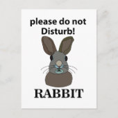 ウサギはウサギを邪魔しなおもしろいさい ポストカード (正面)