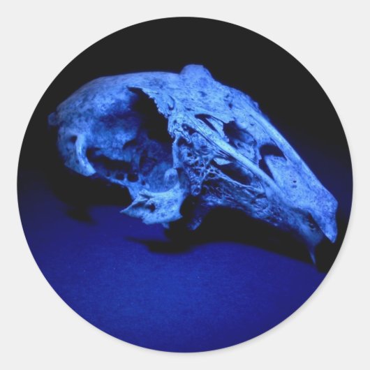 ウサギスカル- 20シールのセット ラウンドシール (正面)