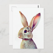 ウサギポートレート022 ポストカード (正面/裏面)