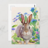 ウサギポートレート036ポストカード ポストカード (正面/裏面)