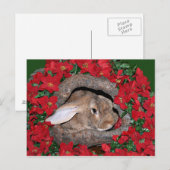 ウサギユール（キリスト降誕祭）ログ ポストカード (正面/裏面)