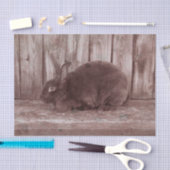 ウサギヴィンテージブラウンイースター 薄葉紙 (クラフト)