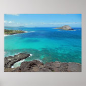 ウサギ島 ポスター (正面)