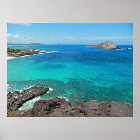 ウサギ島 ポスター (正面)