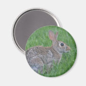 ウサギ磁石 マグネット (正面/裏面)