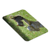 ウサギ給餌器に飢えたリス マグネット (右側)