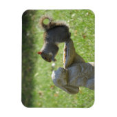 ウサギ給餌器に飢えたリス マグネット (縦)