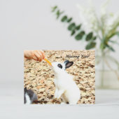 ウサギ葉書 ポストカード (スタンド正面)