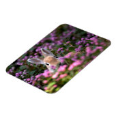ウサギ農場 マグネット (左側)