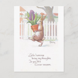 ウサギ運の鉢状の紫陽花 ポストカード