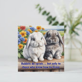 ウサギ達話がラプエレーバニー (スタンド正面)