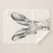 ウサギ鉛筆スケッチ シェルパブランケット (正面(横))