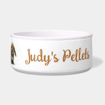 ウサギ食べ物を与えの鉢