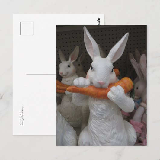 ウサギ食べ ポストカード (正面/裏面)