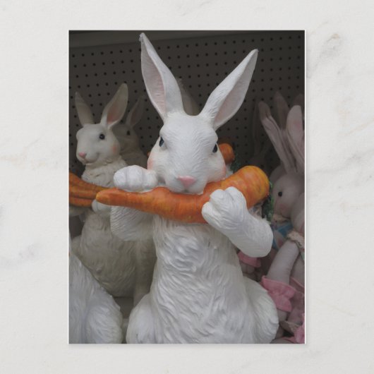 ウサギ食べ ポストカード (正面)
