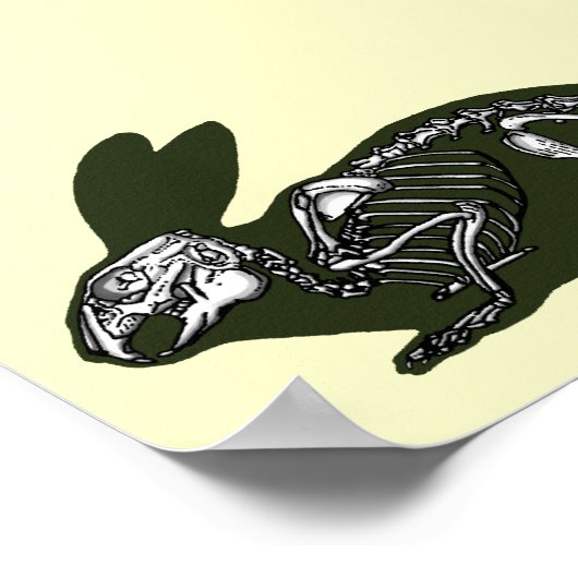 ウサギ骨格 ポスター (角)