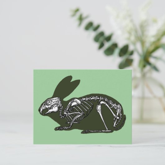 ウサギ骨格 ポストカード (スタンド正面)